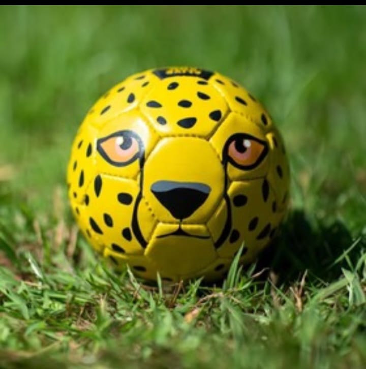 Animal Print Football - Size 1 